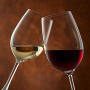 p'tits-bateaux-a-table-enfants-alcool